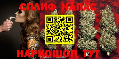 дистиллят марихуана Сланцы