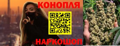 mdpv Славгород